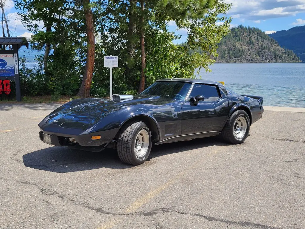 PRO TOURING 79 CORVETTE