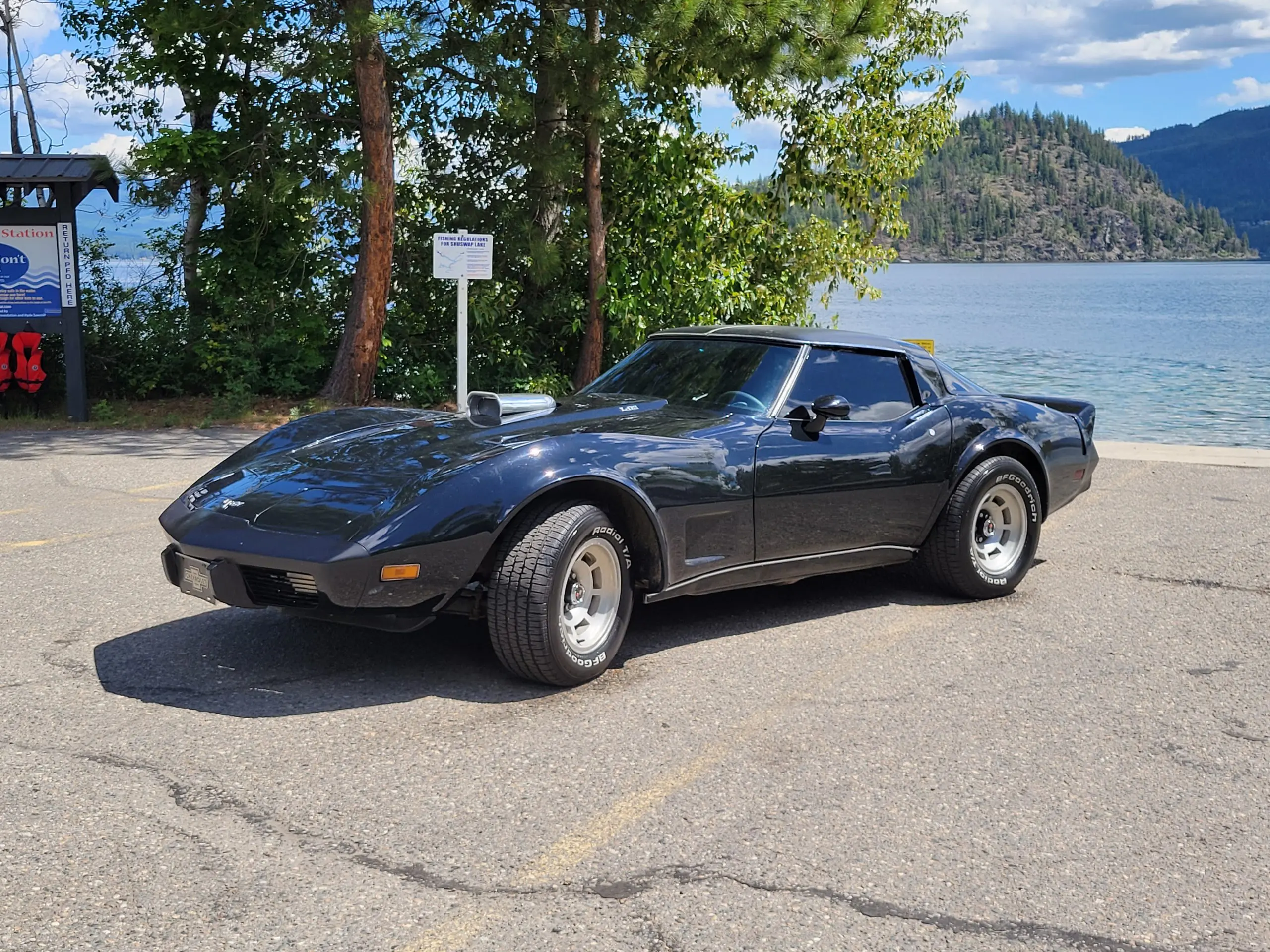 PRO TOURING 79 CORVETTE