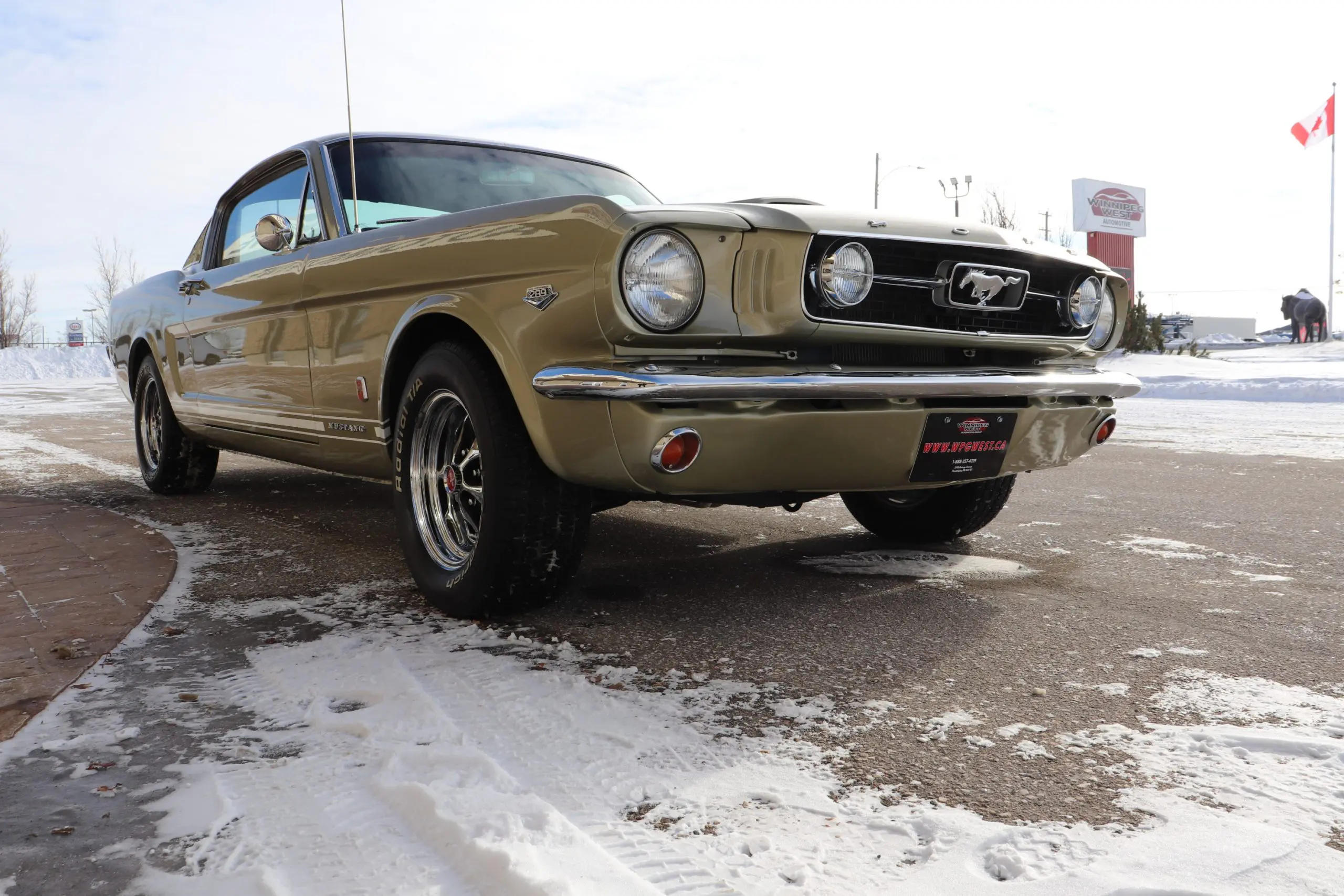 1966 Ford Mustang FASTBACK GT 289 W/4-SPEED, STUNNING – FLAWLESS!!