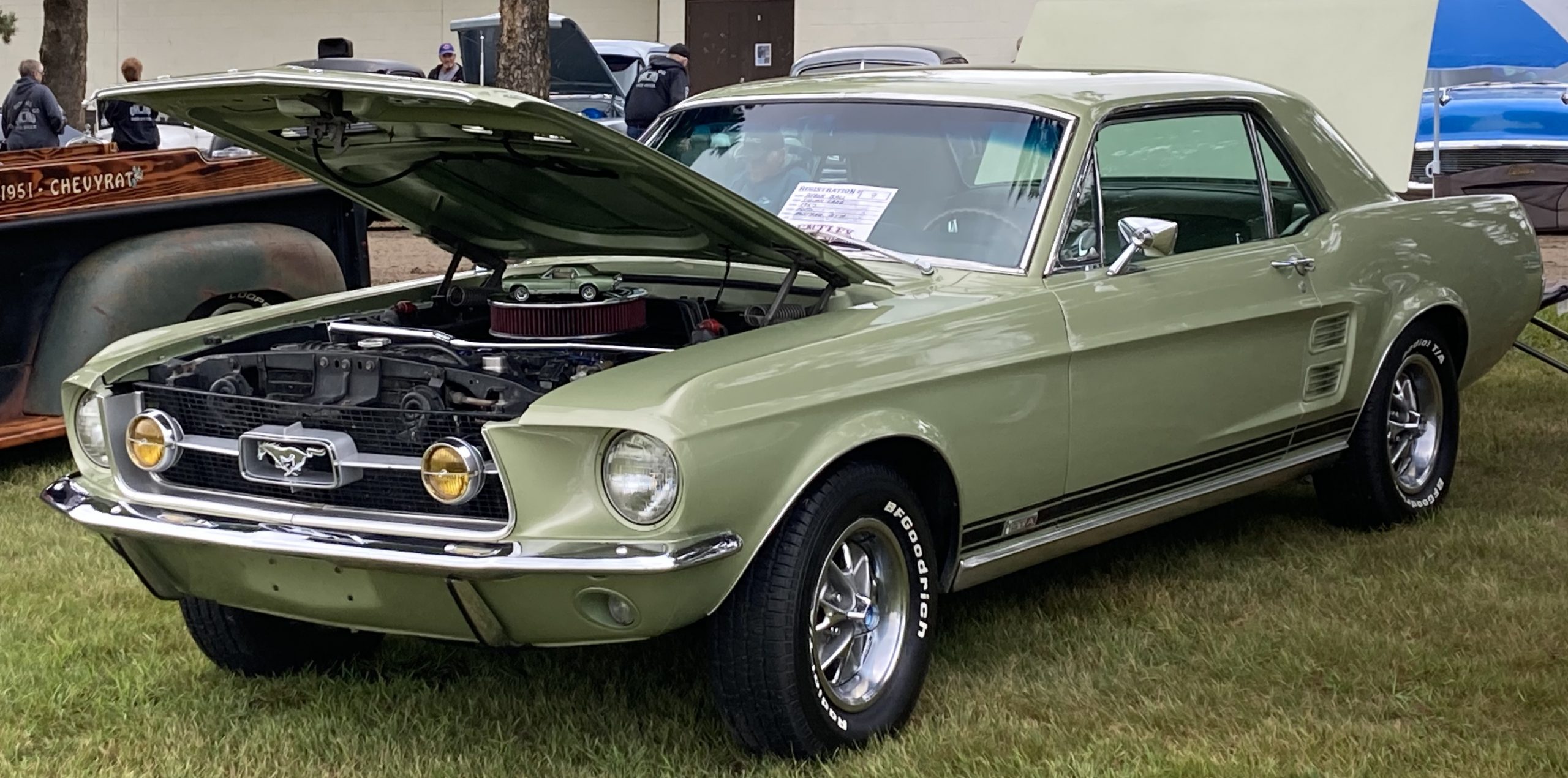 1967 GTA MUSTANG